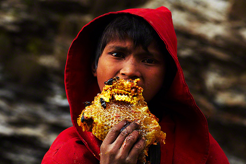 Illustration for article titled Stunning photos show the ancient tradition of honey hunting in Nepal